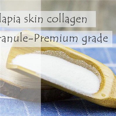 Fish Collagen Tilapia Skin Collagen Granule-Premium Grade