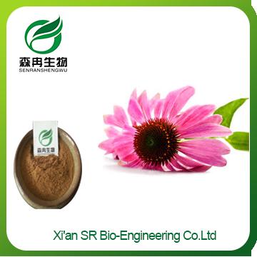 Echinacea Extract,Traditional Herb Echinacea Purpurea Extract,echinacea Purpurea Extract Powder