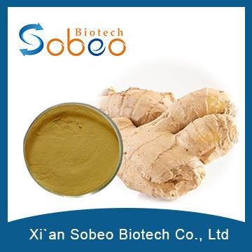 Ginger Extract,Good Water Soluble Ginger Extract Powder /ginger Root Powder/ginger Powder Extract