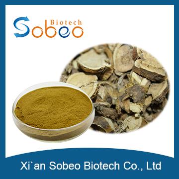 Sophora Extract ,High Quality Radix Sophorae Flavescentis P.E./sophora Flavescens Extract Powder,Oxymatrine