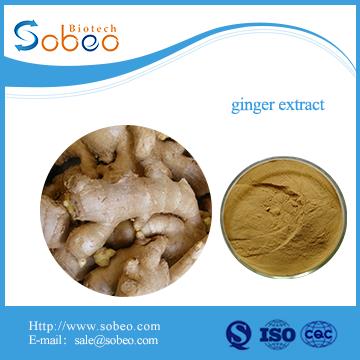 Natural Ginger Extract Powder(water Soluble )