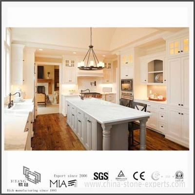 New Arrival Arabescato Venato White Marble Countertops For Kitchen From China Brands Factory