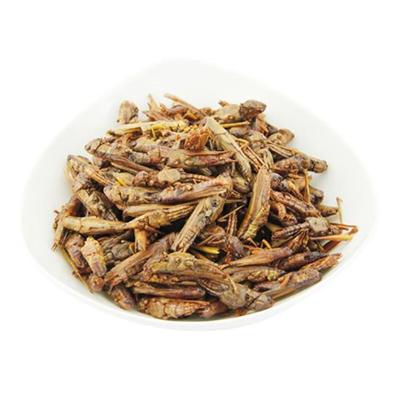 Dried Grasshopper