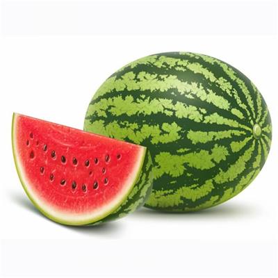 Freeze Dried Water Melon,Delicious and Healthy FD Fruits,Nutrition Instant Snack