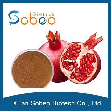 Pomegranate Extract,professional Manufacture Pomegranate Bark Extract Powder For Anti-cancer