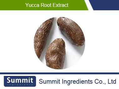 Yucca root extract 10:1, Schidigera,Spanish bayonet,  filamentosa