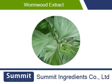 Wormwood extract 10:1,Artemisia absinthium,absinthium,vermouth