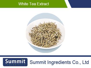 White tea extract 10:1 ,China wheat ter,Megranate Black Tea