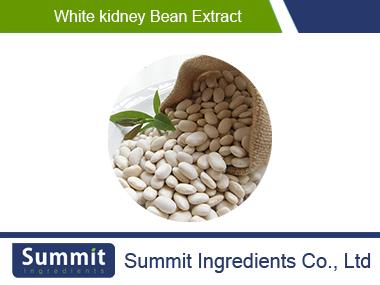 White kidney bean extract ,Organic ,PhaseoluscoccineusL.