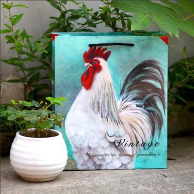 High Quality Shopping Bag For Cloth Packaging Supplier