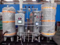 PSA nitrogen generator for food purpose Chinese supplier manufacturer