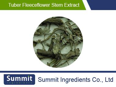 Tuber fleeceflower stem extract 10:1,vine of multiflower knotweed,Caulis Polygoni Multiflori,Polygonum vine