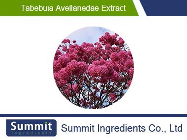 Tabebuia avellanedae extract 10:1,bark ,powder