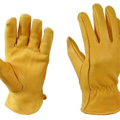 Work Glove / Driver Gloves / Leather Gloves / Industrial Gloves / Motorcycle Gloves