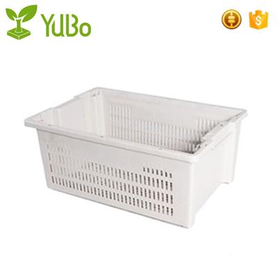 600*400mm Persoraed Side Solid Base Plastic Crates