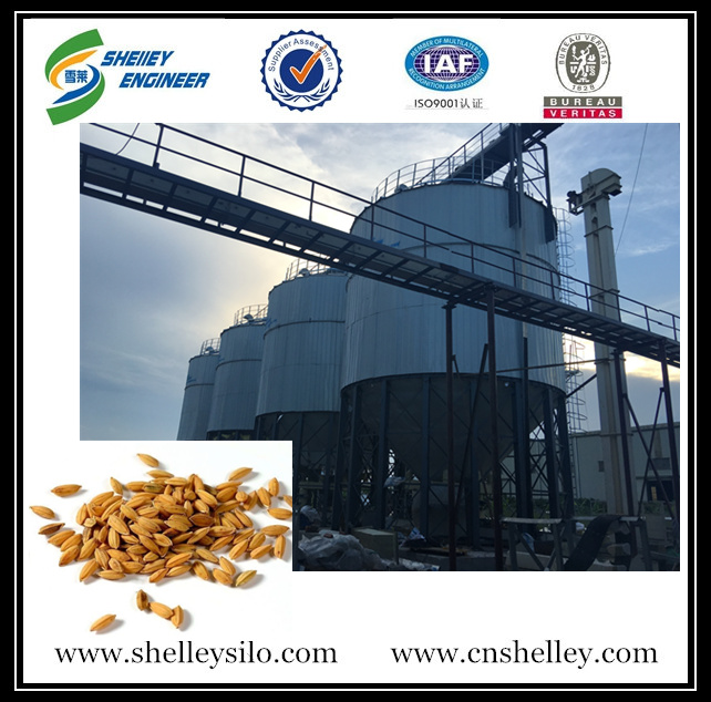 Small capacity 50ton grain storage steel silo