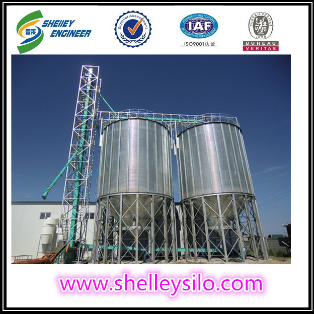 Vertical bucket elevator used in grain silo system