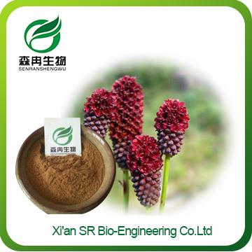 Sanguisorba Officinalis Root Extract ,Factory Supply High Quality Burnet Extract