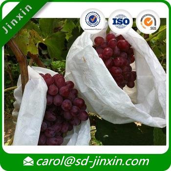 Lminated szőlő védelme táska