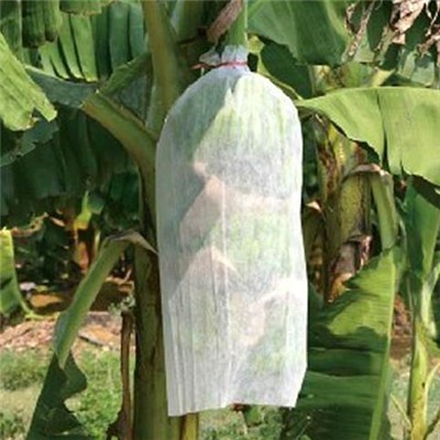 Banan voksende tasker