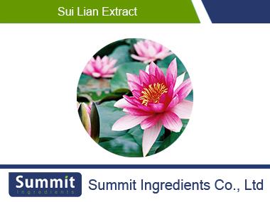 Sui lian extract10:1 /lotus/Nymphaea tetragona/A Water Lily