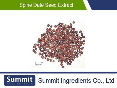 Spine date seed extract,Semen Ziziphi Spinosae,Jujube Seed ,Ziziphus Extract