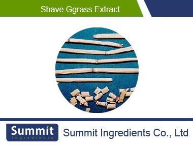 Shave grass extract,Equisetum Hiemale L.,Herba Equiseti Hiemalis,Shave Grass Scouring Rush
