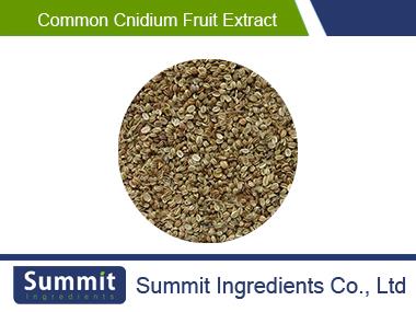 Common Cnidium Fruit Extract 98% Osthole, Fructus Cnidii extract,selinum japenious seed extract