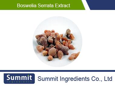 Boswelia Serrata Extract 75% boswellic acid,Boswellia carterii Birdw.,Frankincense extract, Encens extract