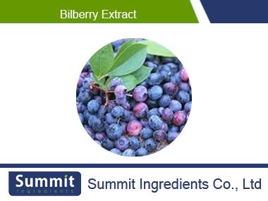 Bilberry Extract 25% Anthocyanidins,25% Anthocyanoside,Vaccinium myrtillus L,Vaccininm ulingosum L