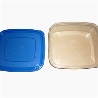 Fast Food Container Mold
