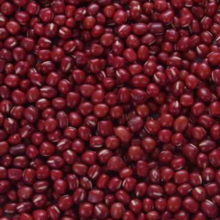 China Azuki Bean, Red Bean 