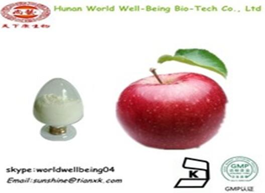 apple extract polyphenol 75% apple seeds pe/ free sample apple pectin