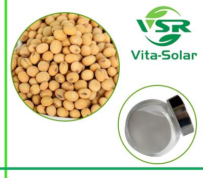 Soybean Phytosterol,cosmetic Grade Soy Oil Sterols 95% ,90% Suppliers