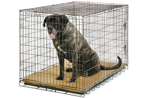 Foladble Metal Wire Dog Cage 48x31x34