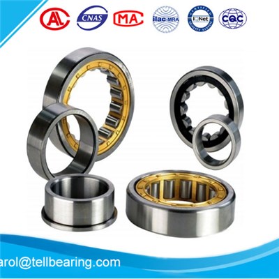 NF Series NNU Series NN Series Cylidrical Roller Bearings For Body Buider Bearing Auto Parts Bearing