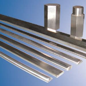 Stainless Steel Oval Bars