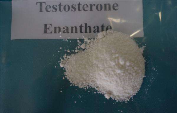 тестостерон enanthate