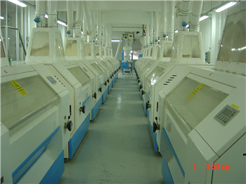 best price100t/d -1000t/d high capacity best design complete wheat flour milling plant in China