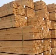 long hardwood lumber and sawn lumber & construction timber