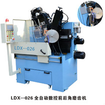 LDX-028 (A)Full CNC saw blade double grinding head side angle grinding machine