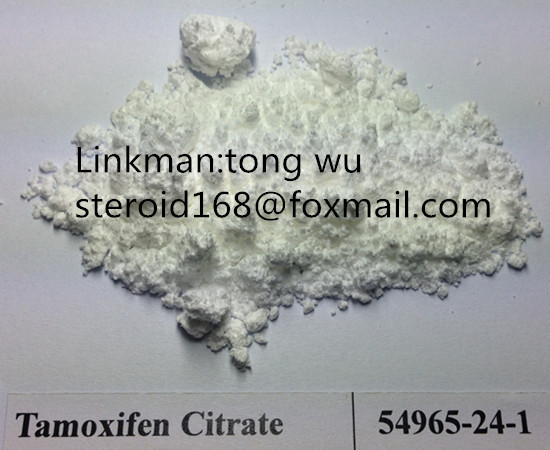 Top quanlity Anti Estrogen Powder Tamoxifen Citrate