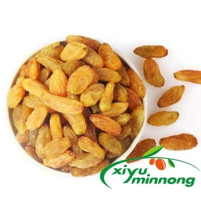 Golden Raisins Yellow Sultanas Dried Fruits Organic Natural Baking Material Whole Jumbo Size Sweet