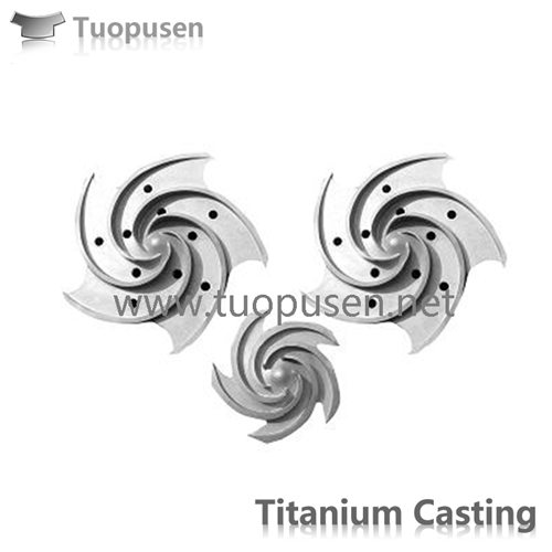 Titanium  Precision casting 
