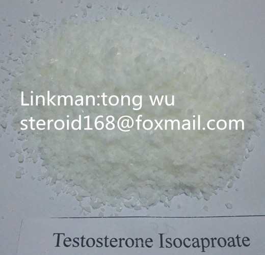 Best Quanlity Hormone Oral and Injections Testosterone Isocaproate