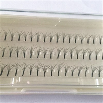 Natural Eyelash Extensions Single Eyelash Extensions 6D