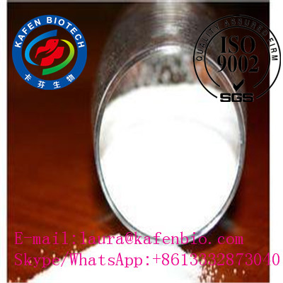 Anabolic Steroid Powder Androstenolone DHEA Dehydroepiandrosterone For Muscle Strength