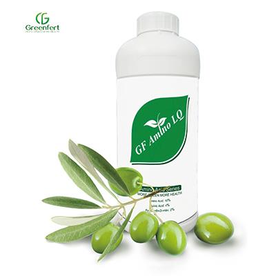 AlgaeGF LQ| Alginic Acid Liquid Seaweed Extract Organic Matter NPK