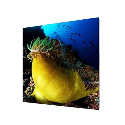Outdoor Screen Led Display Panel
