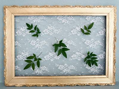 Chicken Wire Mesh for Kinds of Frames